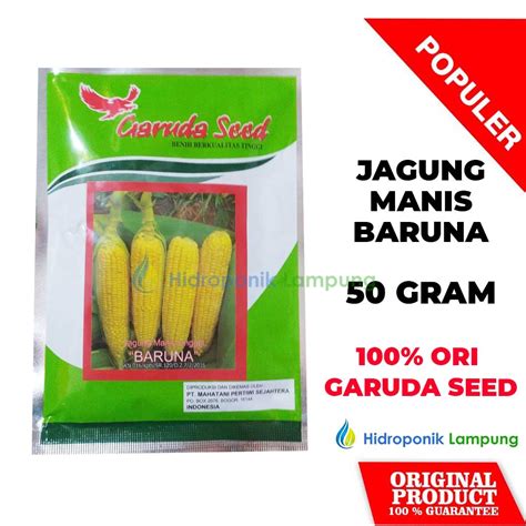 Jual BENIH BIBIT JAGUNG MANIS BARUNA CAP GARUDA SEED 50 GRAM Shopee