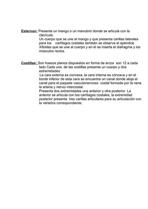 Practico iii huesos de la columna vertebral y tórax PDF