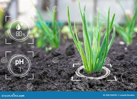 Tecnologia Inteligente De Agricultura Digital Por Coleta De Dados De