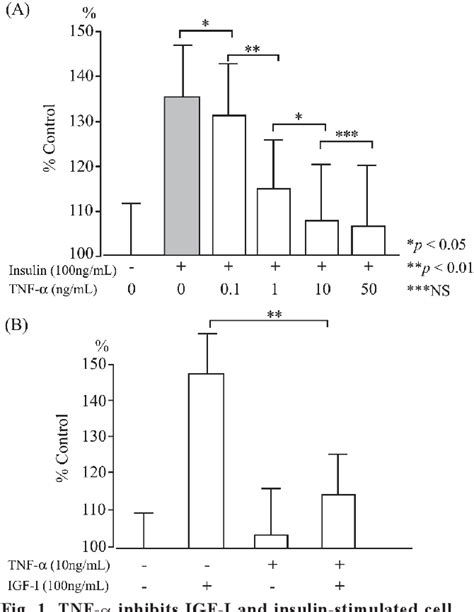 Figure 1 from Tumor Necrosis Factor α TNF α Inhibits Insulin like