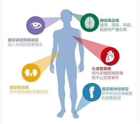 得了糖尿病怎麼辦？醫患攜手，做好以下五點，才能控制好血糖 每日頭條