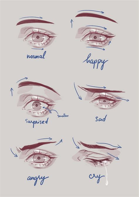 Different Eye Shapes Drawing