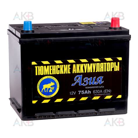 Купить Автомобильный аккумулятор Tyumen Battery Asia 75 Ач обр. пол ...