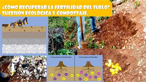 ¿cómo Recuperar La Fertilidad Del Suelo Sucesión Ecológica Y