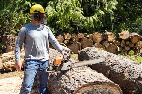 Home Brisbane Tree Care