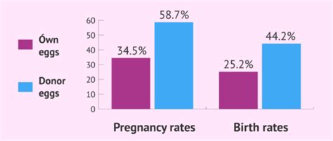 Success Rates Of IVF With Own Eggs Vs Donor Eggs