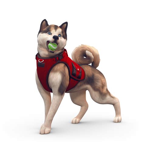 Ts4 Real Eyes Cats Dogs Sims Pets Sims 4 Pets Sims 4 Images
