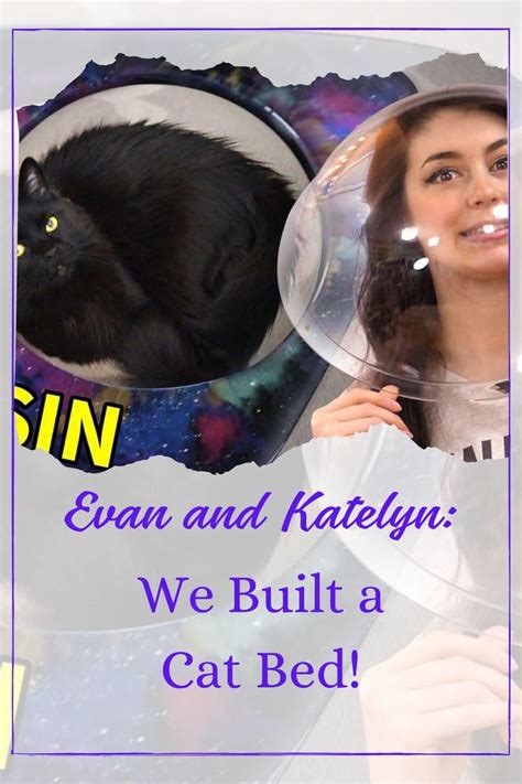 Evan And Katelyn We Built A Clear Bed To See Our Cats Toe Beans