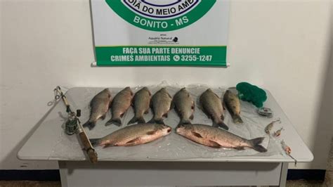 PMA Autua Pescador Pescado Acima Da Cota Permitida Em Bonito MS