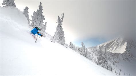 Snowbird Resort Guide | Ski Safari