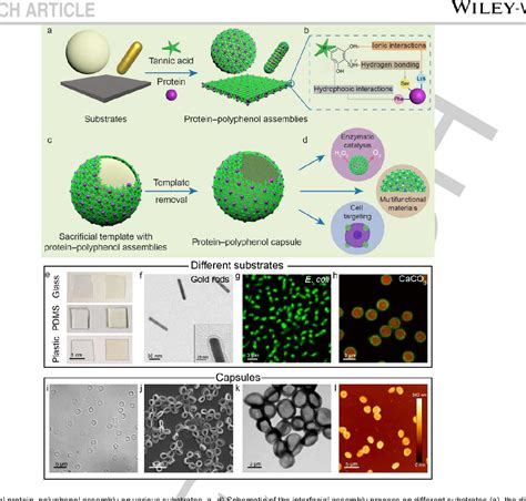 Figure From Polyphenol Mediated Assembly Of Proteins For Engineering