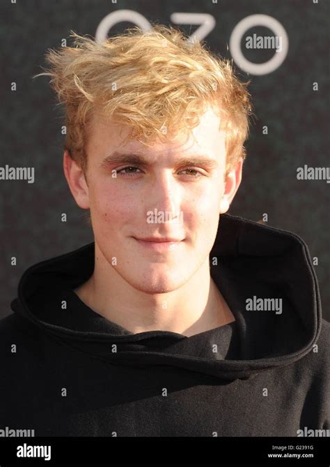 Los Angeles Ca Usa 23rd May 2016 Jake Paul At Arrivals For Alice