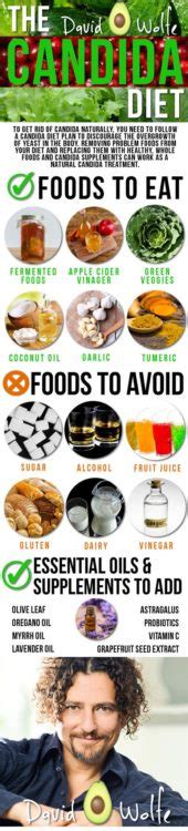 The Candida Diet Foods To Eat And Avoid David Avocado Wolfe