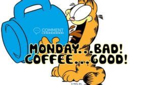 50 Garfield I Hate Mondays Quotes Images Pics The Random Vibez