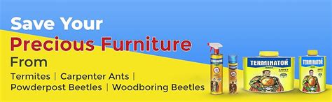 Pidilite Terminator Eco Friendly Termite Killer Wood Preservative And