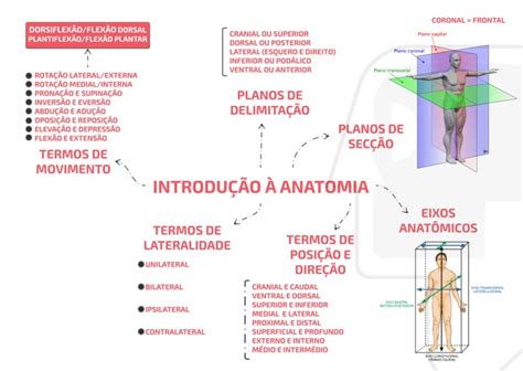 Mapa Mental Introdução à Anatomia 1 AnatoCast