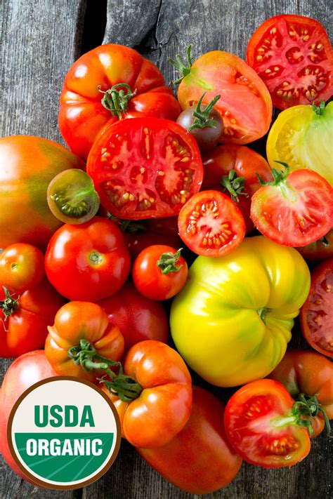 Organic Tomato Seeds — USDA Certified Heirloom Mix (100 seeds) | Rohrer ...