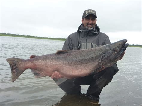 Nushagak River – Alaska's Largest Run of King Salmon