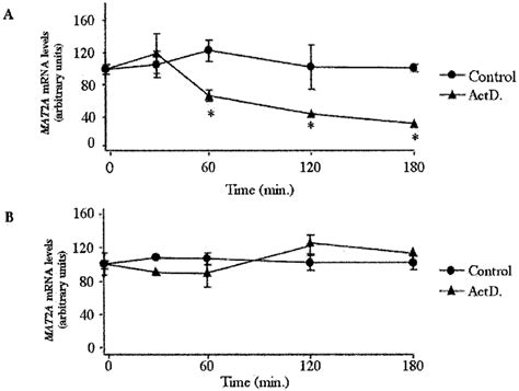 Effect Of L Methionine Depletion On The Half Life Of MAT2A MRNA In