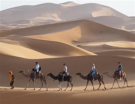 Camel Trekking T Morocco Camel Trekking Merzouga