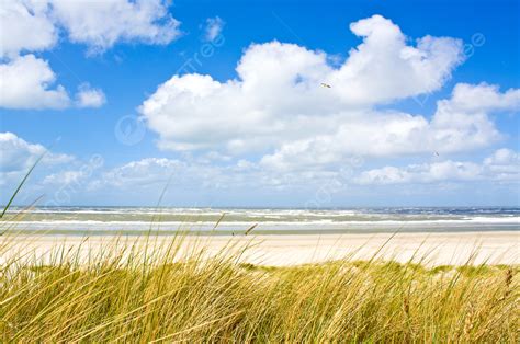 North Sea North Sylt Beauty Photo Background And Picture For Free ...