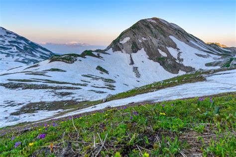 The Snowdrifts And Green Grass On Top Of Mountains In The Tropical