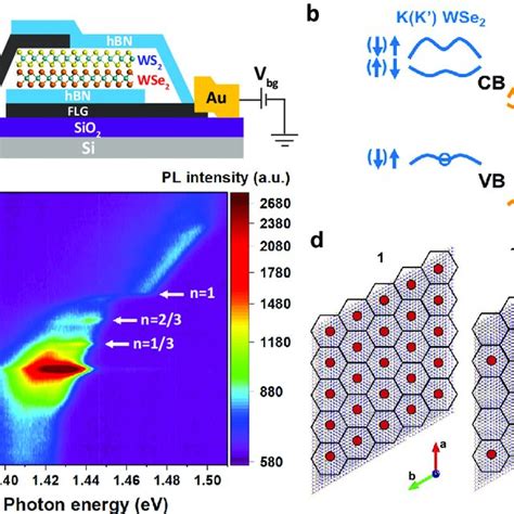 Valley Polarization Of Interlayer Excitons In The Moiré Superlattice A Download Scientific