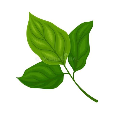 Soya Crop Stock Illustrations 1115 Soya Crop Stock Illustrations