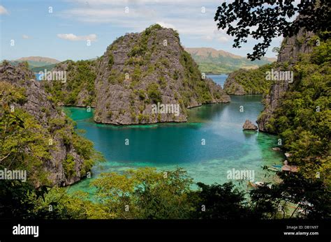 Kayangan lake or blue lagoon, Coron island, Philippines Stock Photo - Alamy