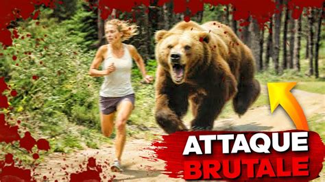 L Attaque D Ours La Plus BRUTALE Au Parc De Yellowstone YouTube