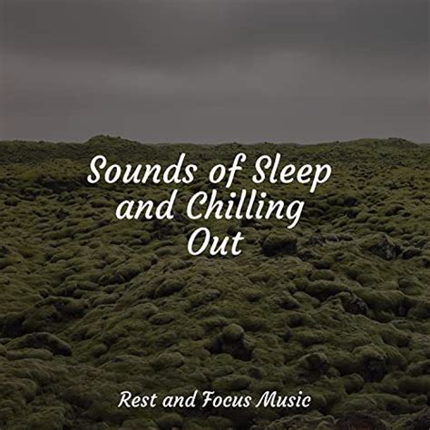 Sounds Of Sleep And Chilling Out Von The Relaxation Principle Sleep