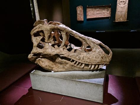 The Musée des Confluences in Lyon, France, is a spectacular fusion of