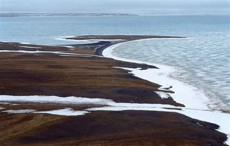 Arctic governments and fossil fuels - WWF Arctic