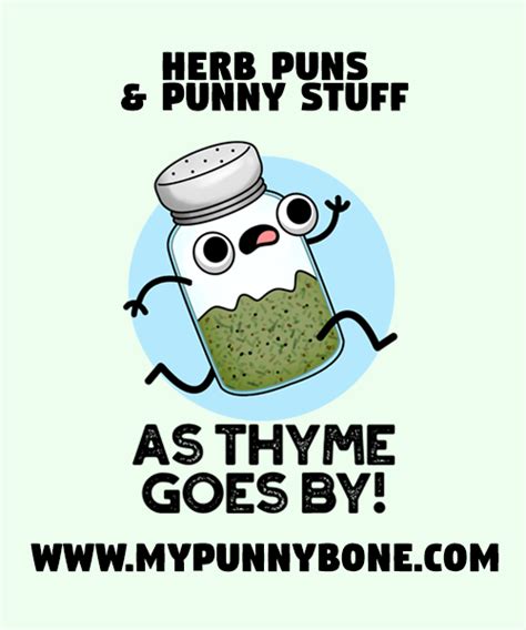 80 Funny Thyme Puns And Punny Stuff Mypunnybone