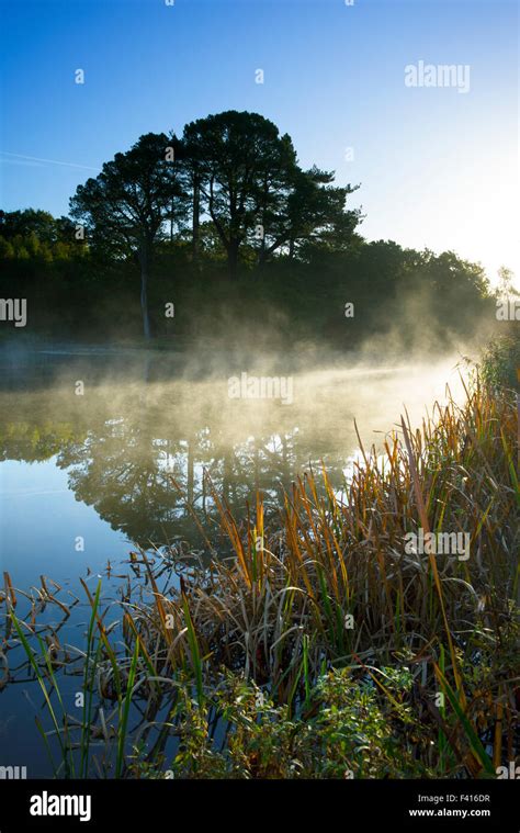 The Ornamental Lake Also Known As The Fishing Lake On Southampton