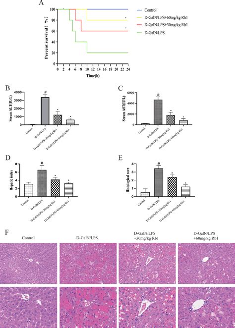 Figure From Ginsenoside Rb Reduces D Galn Lps Induced Acute Liver