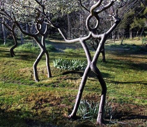 Axel Erlandsons Tree Circus In Gilroy California Tree Tree Growing