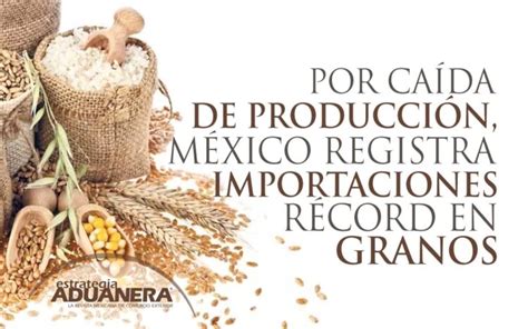 Por Ca Da De Producci N M Xico Registra Importaciones R Cord En Granos