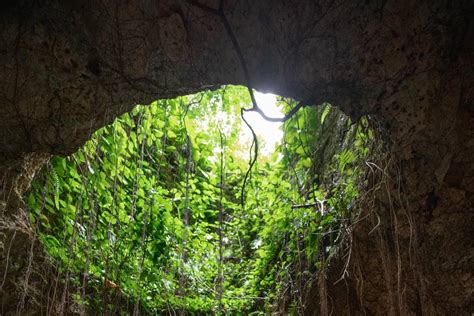 Cenotes Zapote Consulta Disponibilidad Y Precios