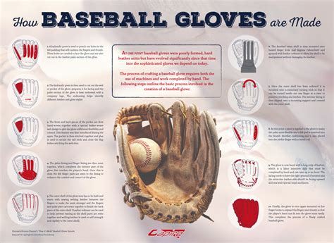 Infographic How Baseball Gloves Are Made It Is Gabetumblr