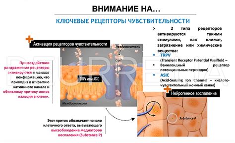 FUCOGEL (ФУКОГЕЛЬ) - купить в BEURRE l Украина