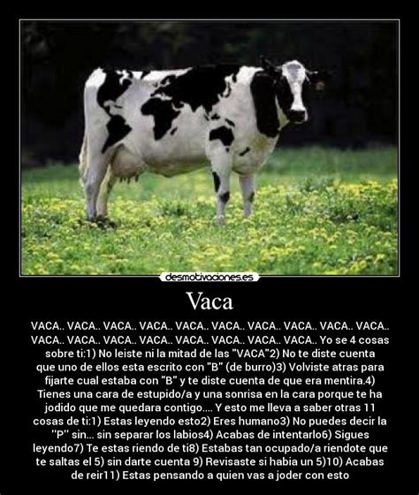 Imágenes Y Carteles De Vaca Pag 21 Desmotivaciones