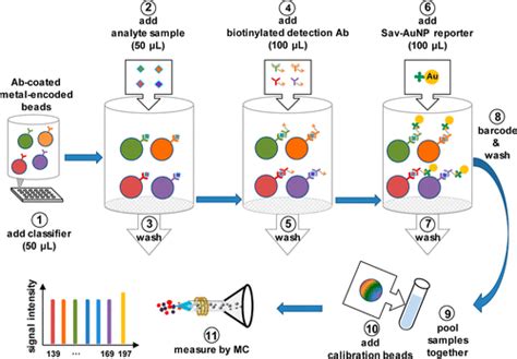 Development Of Multiplexed Bead Based Immunoassays For Profiling Soluble Cytokines And Cd163