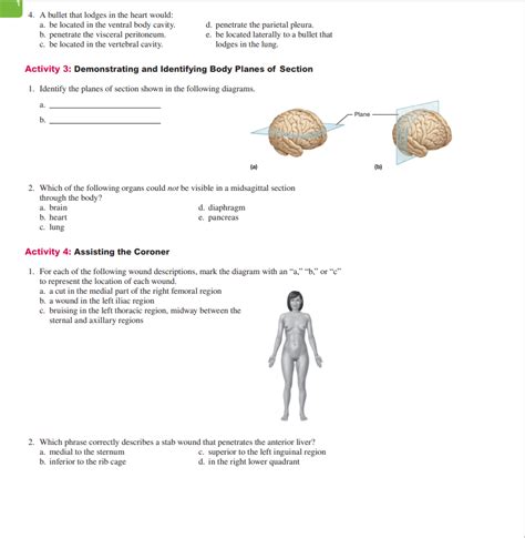 Solved Pre Lab Activity Identifying Body Cavities And