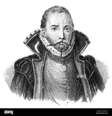 Tycho Brahe Danish Astronomer Cut Out Stock Images Pictures