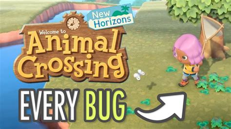 Bugs Animal Crossing New Horizons 2023 ️ Dontruko