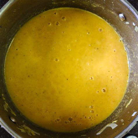 Carrot And Leek Soup Spicepaw