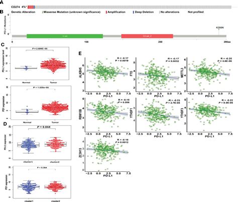 Frontiers Comprehensive Characterization Of Tumor Microenvironment