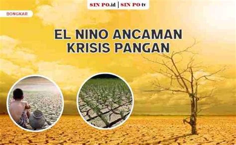 Ancaman Krisis Pangan Akibat El Nino