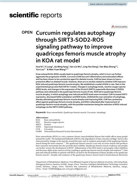 Pdf Curcumin Regulates Autophagy Through Sirt Sod Ros Signaling